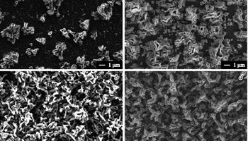 Ученые ИПМаш РАН создали новый способ получения нанотрубок карбида кремния